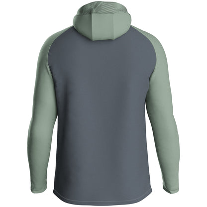 JAKO Kapuzenjacke Iconic – Grau (852) (hinten)